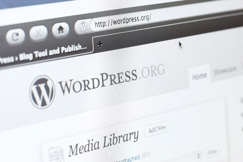 Why Professional WordPress Tutorial - آموزش وردپرس حرفه ای به سبک جدید