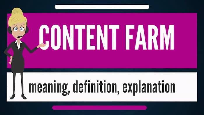 Content Farms - الگوریتم پاندا گوگل