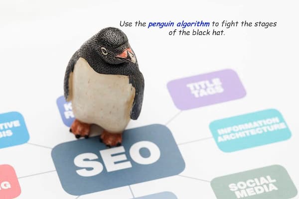 وظیفه اصلی الگوریتم پنگوئن چیست؟