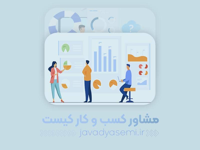 Professional business consultant 1 - مشاوره کسب و کار اینترنتی در مشهد